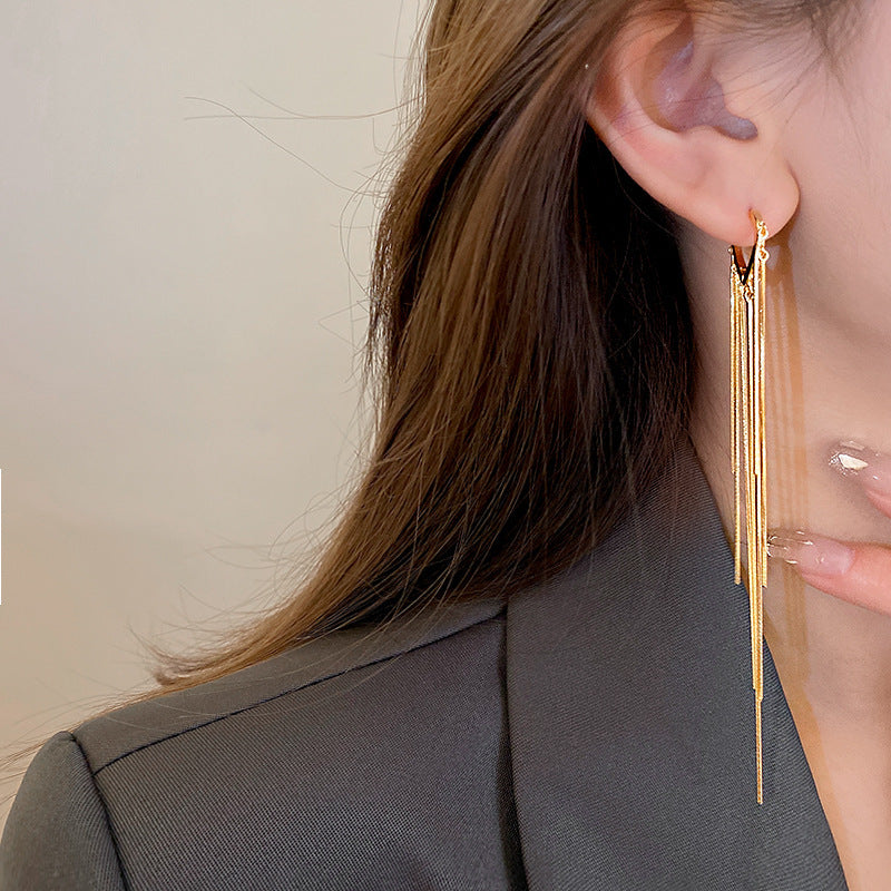 Long Chain Fringed Earrings