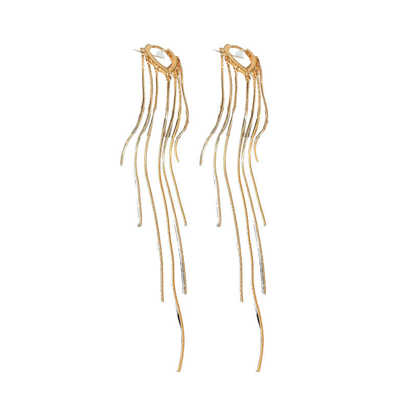 Long chain fringed earrings